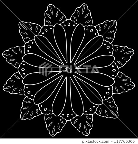 白色花朵蕾絲 117766306