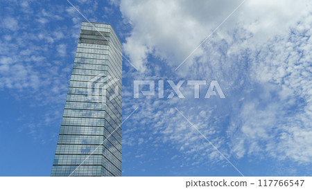 [Chiba City, Chiba Prefecture] Chiba Port Park/Chiba Port Tower 117766547