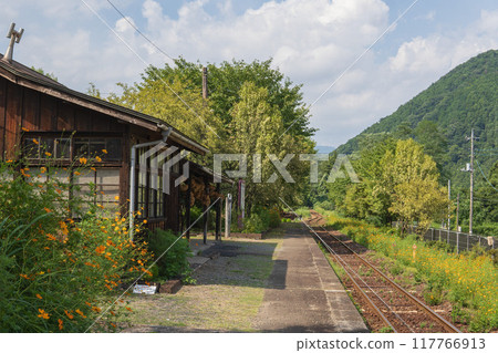 Kamikamibai Station in summer / Orange cosmos blooming on the platform [Watarase Keikoku Railway] Gunma Prefecture 117766913