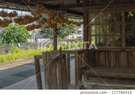 The retro ticket gates of Kamikamibai Station with dried flowers hanging down [Watarase Keikoku Railway] Gunma Prefecture 117766916