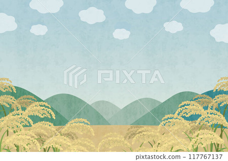 Rice field landscape Watercolor illustration of rice field Rice background 117767137