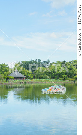 [Chiba City, Chiba Prefecture] Chiba Park, Watauchi Pond 117767183