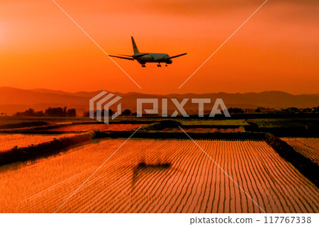 一架飛機倒映在夕陽和稻田中 一架飛機倒映在夕陽和稻田中 117767338