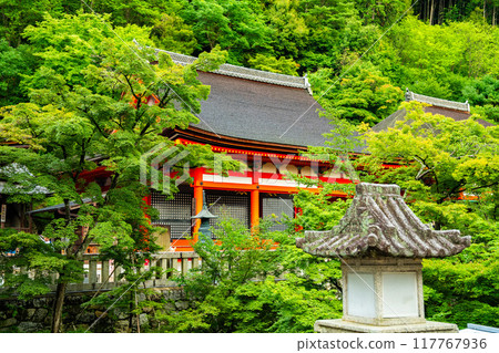 Views of Kiyomizu-dera temple in Kyoto, Japan 117767936