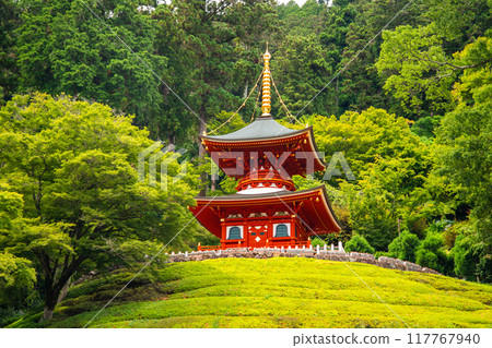 Katsuoji, the Temple of Daruma Dolls, in Osaka, Japan 117767940