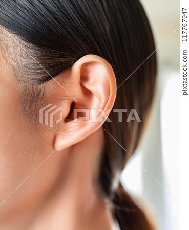 女性耳朵形狀優美 117767947