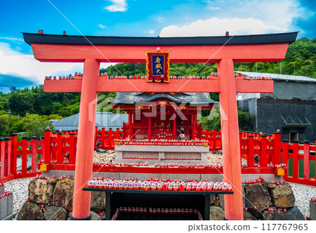 Katsuoji, the Temple of Daruma Dolls, in Osaka, Japan 117767965