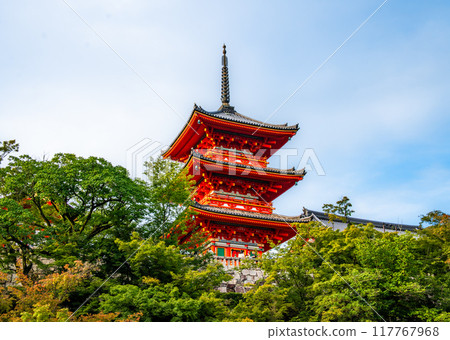 Views of Kiyomizu-dera temple in Kyoto, Japan 117767968