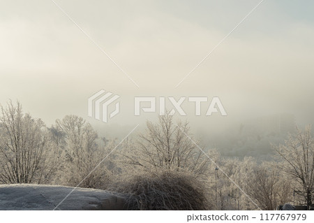 Foggy winter landscape 117767979