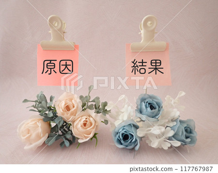 Cause and effect letters, flowers, compare, arrange 117767987