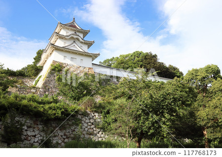 夏天的明石城跡（兵庫縣明石市） 117768173