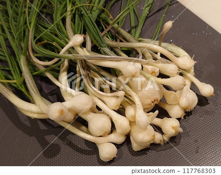 收穫成長 收穫成長 117768303