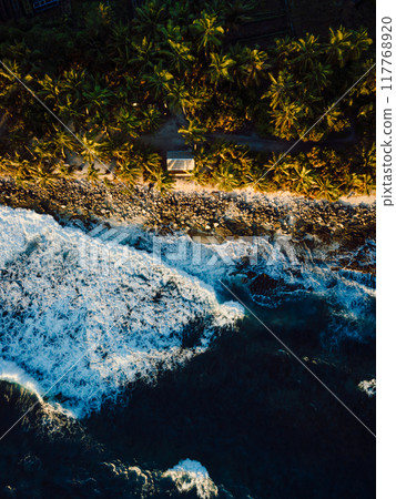 Ocean coastline with coconut palms and warm sunrise in tropical Maldivian island 117768920