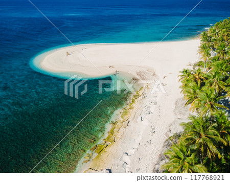 Maldives island and tropical beach with palms. Tropical summer banner. Aerial view Maldives island and tropical beach with palms. Tropical summer banner. Aerial view 117768921