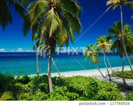 Tropical Maldives beach with palm trees on island. Travel vacation concept. 117768926