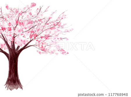 Pink with flowers sakura tree horizontal card isolated on white. Watercolor hand painted high quality nature design elements great for cards, banners, wedding invitations, beauty salons, tourist ads 117768948