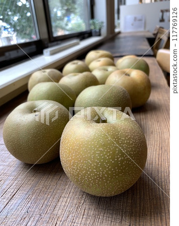 千葉梨 千葉梨 117769126