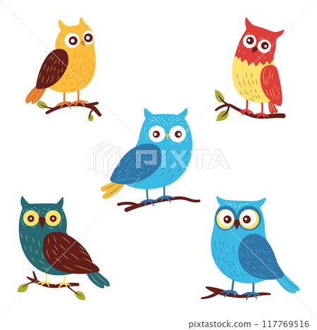 Collection of Cute Colorful Owl Bird Animal Perched on Tree Branch Collection of Cute Colorful Owl Bird Animal Perched on Tree Branch 117769516