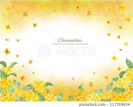 Vector illustration decorative material of osmanthus painted in watercolor 117769634