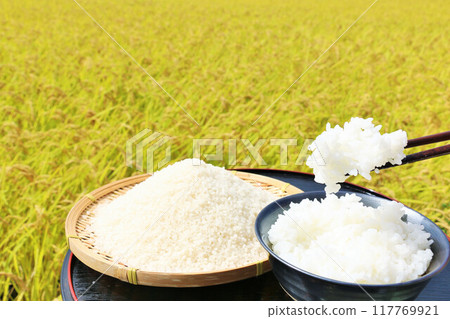 Autumn rice field and bowl of rice Autumn rice field and bowl of rice 117769921
