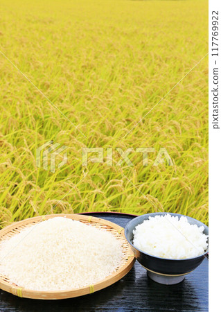 Autumn rice field and bowl of rice 117769922