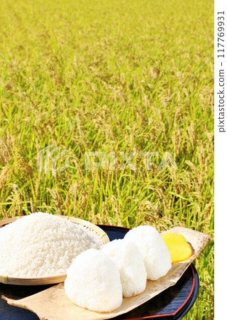 Autumn rice field and bowl of rice balls 117769931