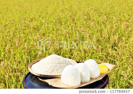 秋天米領域和碗米飯糰 117769937