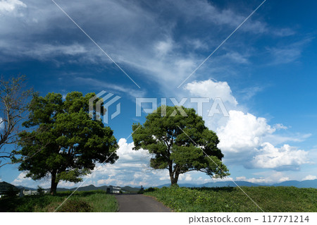 仲夏天空有雲的圖像 仲夏天空有雲的圖像 117771214
