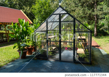 Greenhouse in the garden. Glass small compact greenhouse for growing flowers, vegetables, seedlings of various plants. Gardening. Greenhouse in the garden. Glass small compact greenhouse for growing flowers, vegetables, seedlings of various plants. Gardening. 117771344