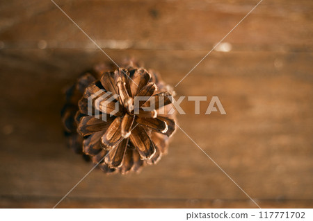 Close up pine cones on beige background Close up pine cones on beige background 117771702