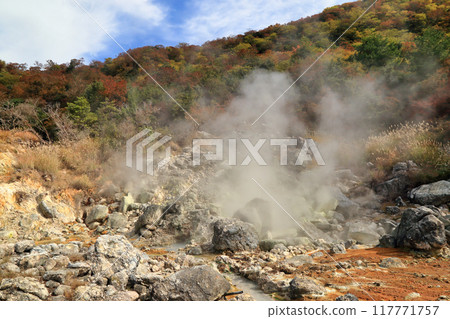雲仙地獄的秋景（11月/長崎縣雲仙市） 117771757