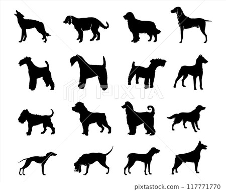 A collection of dog silhouettes in various poses and breeds. Perfect for pet lovers, veterinarians, or dog trainer. animal, canine, domestic, cute, friendly, loyal, companion A collection of dog silhouettes in various poses and breeds. Perfect for pet lovers, veterinarians, or dog trainer. animal, canine, domestic, cute, friendly, loyal, companion 117771770