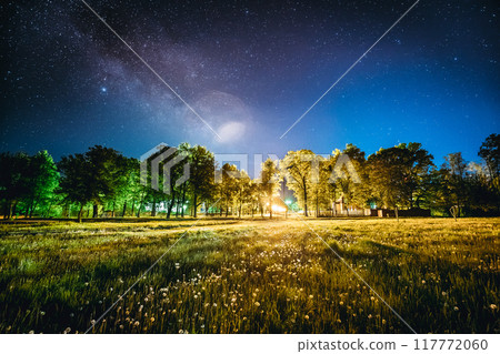 Green Trees Woods In Park Under Night Starry Sky. Night Landscape With Natural Real Glowing Milky Way Stars Over Meadow At Summer Season. View From Eastern Europe At Spring Season 117772060