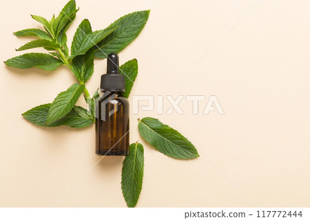 Natural Mint Essential Oil in a Glass Bottle. organic cosmetics with herbal extracts of mint on colored background Natural Mint Essential Oil in a Glass Bottle. organic cosmetics with herbal extracts of mint on colored background 117772444
