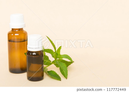 Natural Mint Essential Oil in a Glass Bottle. organic cosmetics with herbal extracts of mint on colored background 117772449