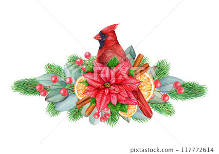 Winter season floral decor with spices, fruit, conifer, eucalyptus, red garden bird. Watercolor vintage style illustration. Christmas decoration element with red cardinal bird. White background Winter season floral decor with spices, fruit, conifer, eucalyptus, red garden bird. Watercolor vintage style illustration. Christmas decoration element with red cardinal bird. White background 117772614