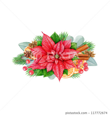 Winter season floral decor element with spices, fruit, conifer, eucalyptus. Watercolor vintage style painted illustration. Christmas decoration element isolated on white background Winter season floral decor element with spices, fruit, conifer, eucalyptus. Watercolor vintage style painted illustration. Christmas decoration element isolated on white background 117772674