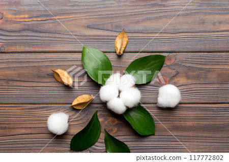 Autumn Floral Flat lay background composition. Dried white fluffy cotton flower branchwith green leaf top view on colored table with copy space 117772802
