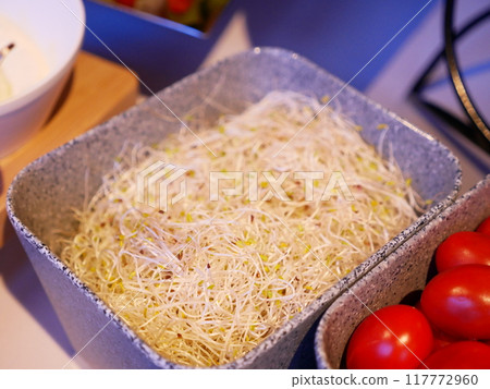 苜蓿芽 苜蓿芽 117772960