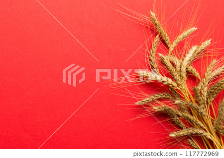Sheaf of wheat ears close up and seeds on colored background. Natural cereal plant, harvest time concept. Top view, flat lay with copy space. world wheat crisis Sheaf of wheat ears close up and seeds on colored background. Natural cereal plant, harvest time concept. Top view, flat lay with copy space. world wheat crisis 117772969