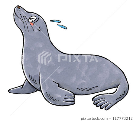 海獅遇到麻煩 117773212