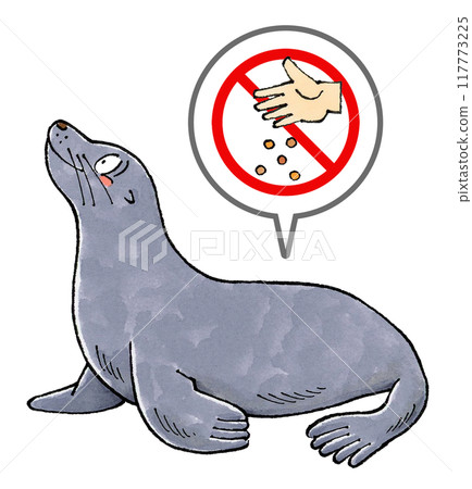 No feeding sea lions sign No feeding sea lions sign 117773225