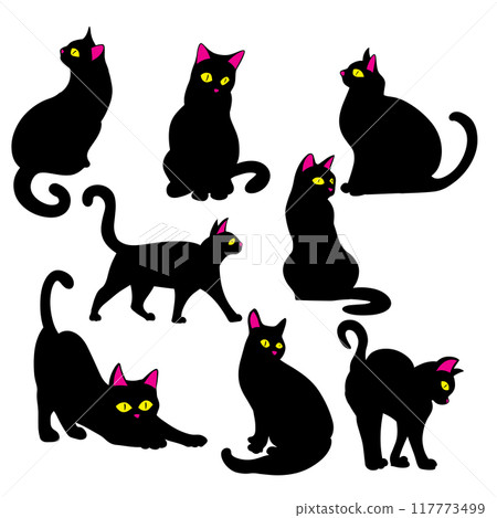 The Black cat for pet or halloween concept The Black cat for pet or halloween concept 117773499