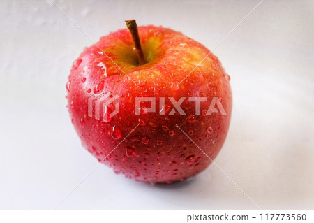 red apple on white background red apple on white background 117773560