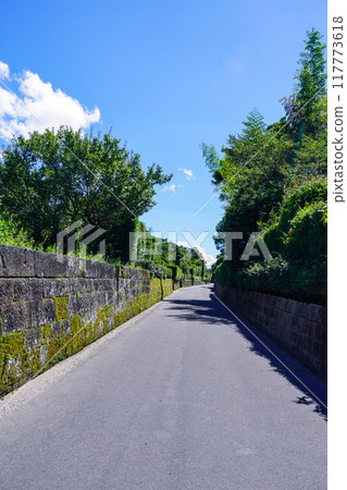 Chiran Samurai Residences: A beautiful streetscape (Minamikyushu, Kagoshima Prefecture) 117773618
