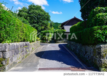 Chiran Samurai Residences: A beautiful streetscape (Minamikyushu, Kagoshima Prefecture) Chiran Samurai Residences: A beautiful streetscape (Minamikyushu, Kagoshima Prefecture) 117773642