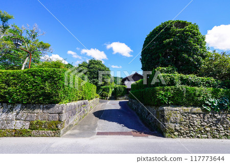 Chiran Samurai Residences: A beautiful streetscape (Minamikyushu, Kagoshima Prefecture) 117773644