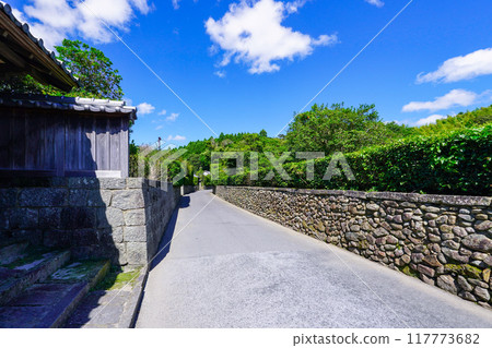 Chiran Samurai Residences: A beautiful streetscape (Minamikyushu, Kagoshima Prefecture) 117773682