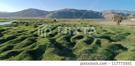 in tajikistan the beautiful land in tajikistan the beautiful land 117773891