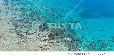 in tajikistan the beautiful land 117773920